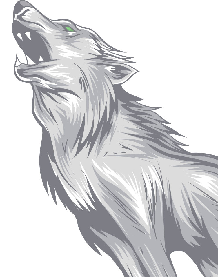 Lobo da Wolflife